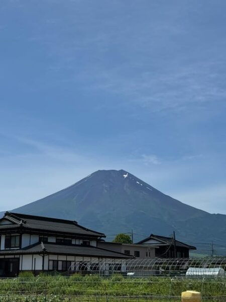 Mount Fuji,Oshino Hakkai , Kawaguchi Lake,1-Day Private Tour - Booking Details