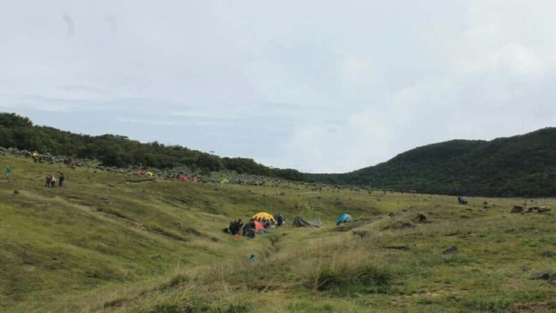 Mount Gede: 2-Day Hiking and Camping Adventure from Jakarta - Final Thoughts