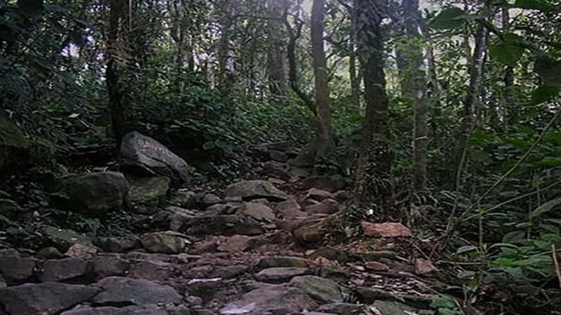 Mount Gede: 2-Day Hiking and Camping Adventure from Jakarta - FAQ