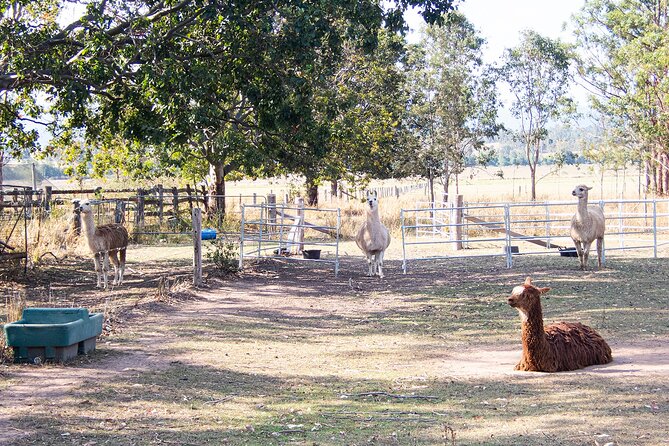 Mount Glorious to Mount Mee Tour - Tour Inclusions and Pricing
