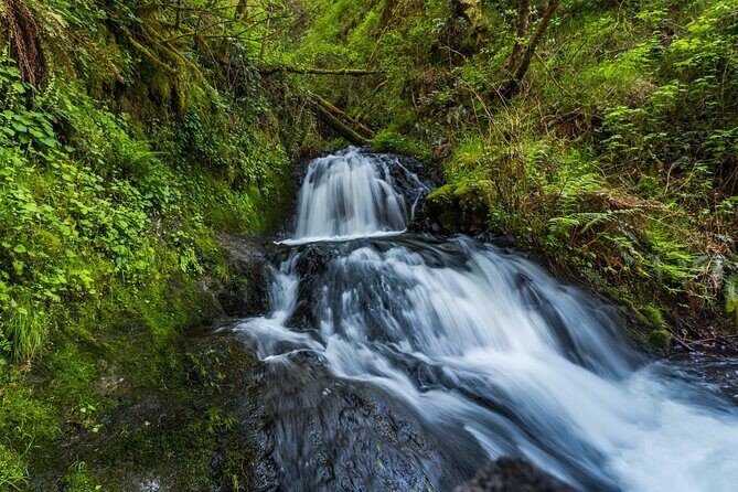 Mount Hood Loop Scenic Drive Self Guided Audio Tour - Who Will Love This Tour?