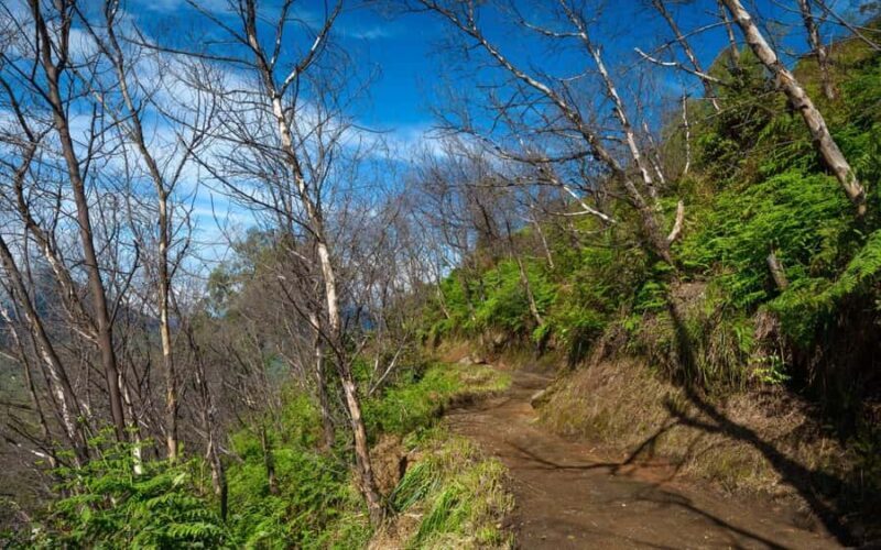 Mount Ijen Overnight Adventure: Start from Banyuwangi - Final thoughts