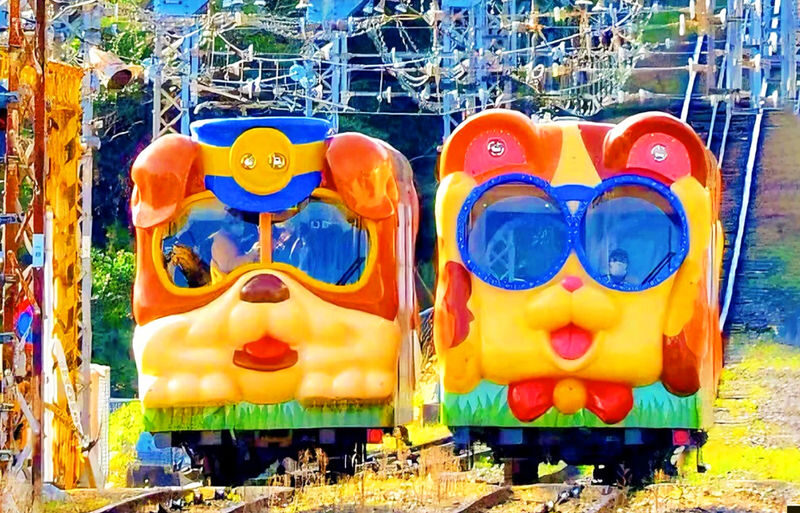 Mount Ikoma & Nara Fun Trip | Sky Cycle + Nara Park Deer Feeding + Todai-ji Temple + Wakakusa Mountain Overlook Day Trip | Depart from Osaka (Ikoma Sanjo Amusement Park or Hirakata Park Optional) - A two-part day beyond Osaka