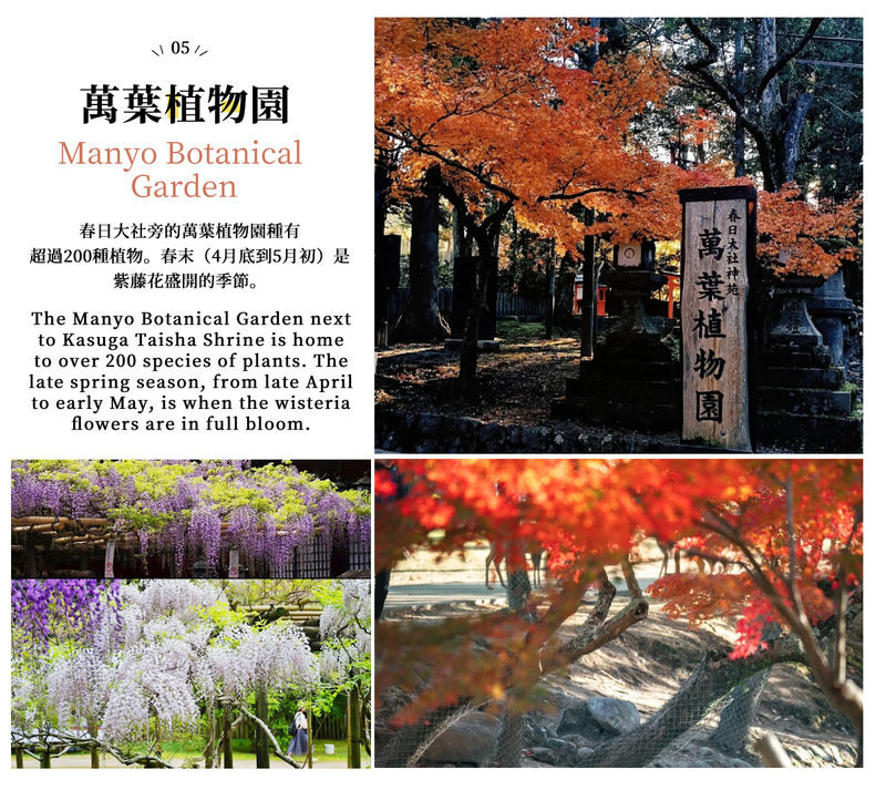 Mount Ikoma & Nara Fun Trip | Sky Cycle + Nara Park Deer Feeding + Todai-ji Temple + Wakakusa Mountain Overlook Day Trip | Depart from Osaka (Ikoma Sanjo Amusement Park or Hirakata Park Optional) - What the price includes, and what it does not