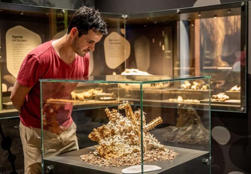 Mount Isa: Riversleigh Fossil Discovery Centre Guided Tour - An Introduction to the Riversleigh Fossil Discovery Centre