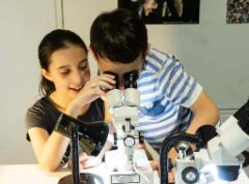 Mount Isa: Riversleigh Fossil Discovery Centre Guided Tour - Detailed Breakdown of the Tour Experience