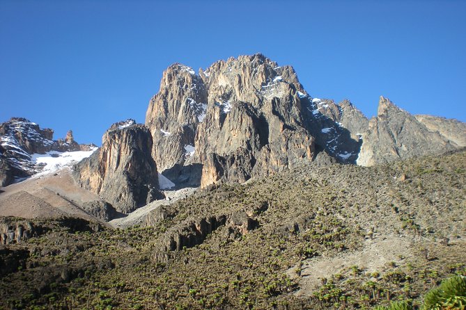 Mount Kenya National Park Full-Day Hike - Logistics Information