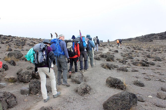 Mount Kilimanjaro 8-Days; Lemosho Route - Cancellation Policy Details