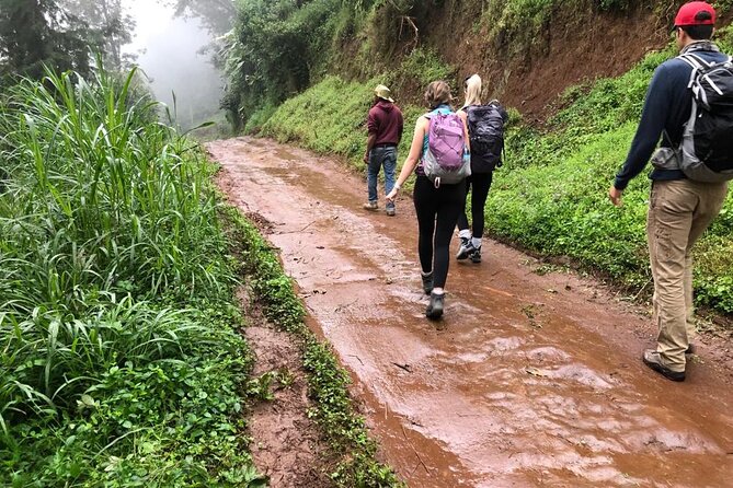 Mount Kilimanjaro Day Trip Trekking - Itinerary Details