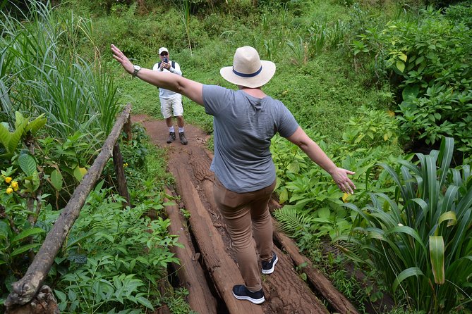 Mount Kilimanjaro Day Trip Trekking - Inclusions and Exclusions