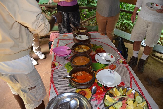 Mount Kilimanjaro Day Trip Trekking - Reviews and Ratings