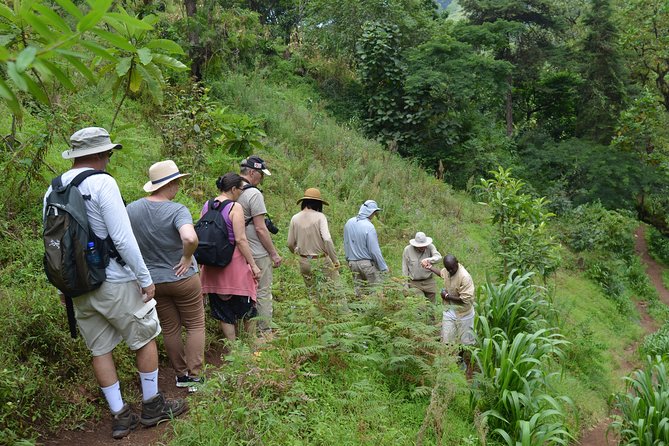 Mount Kilimanjaro Day Trip Trekking - Frequently Asked Questions