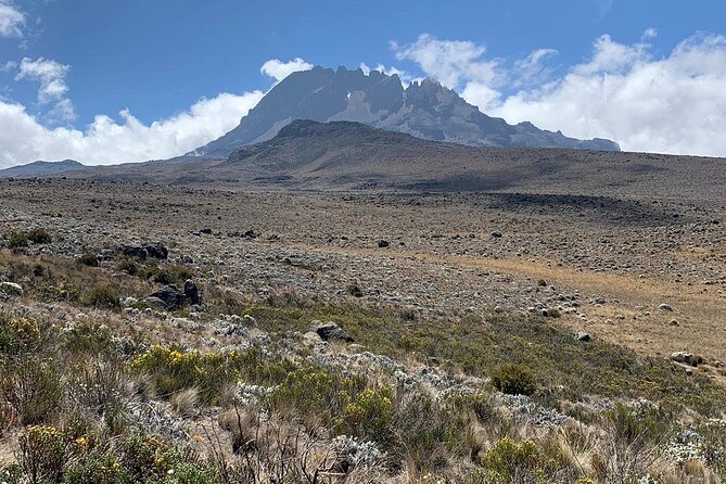 Mount Kilimanjaro - Marangu Route - Booking and Pricing Information