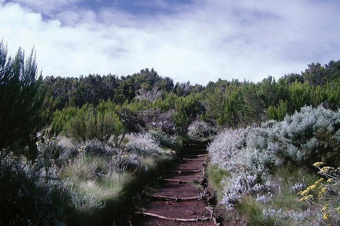 Mount Kilimanjaro Trekking, 5 Days Marangu Route. - Accommodation Details
