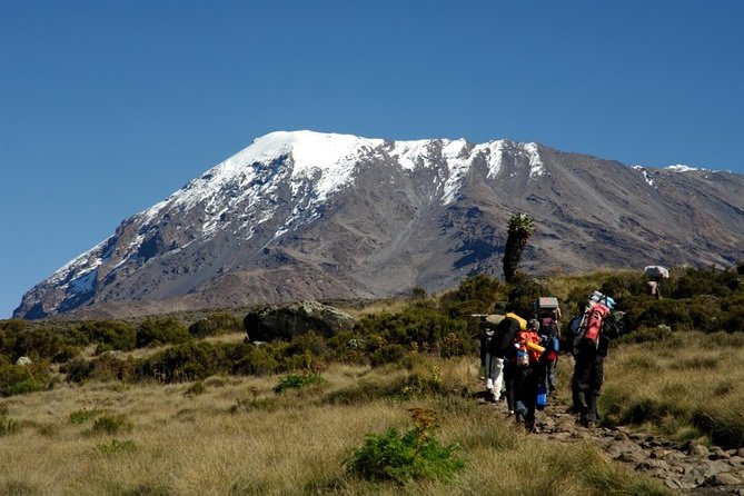 Mount Kilimanjaro Trekking for East African Citizens (5 Days Marangu Route) - Safety and Emergency Protocols