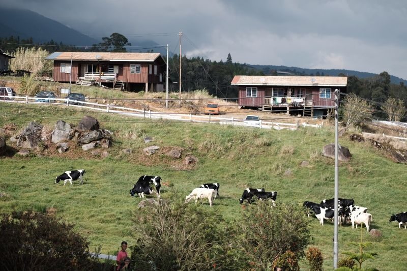 Mount Kinabalu & Desa Farm Full-Day Tour - Kinabalu National Park and an easy nature walk
