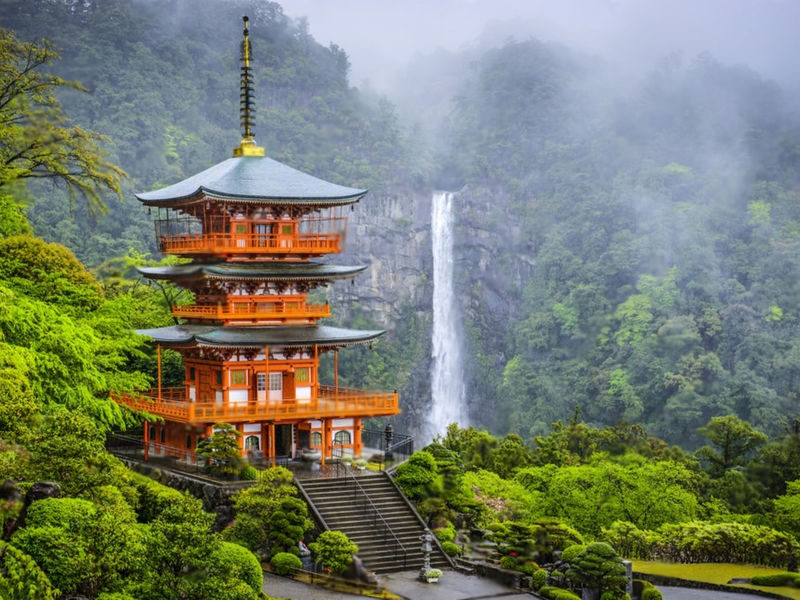 Mount Koya Wakayama & Nachi Waterfall Private Day Tour - What to know before you book