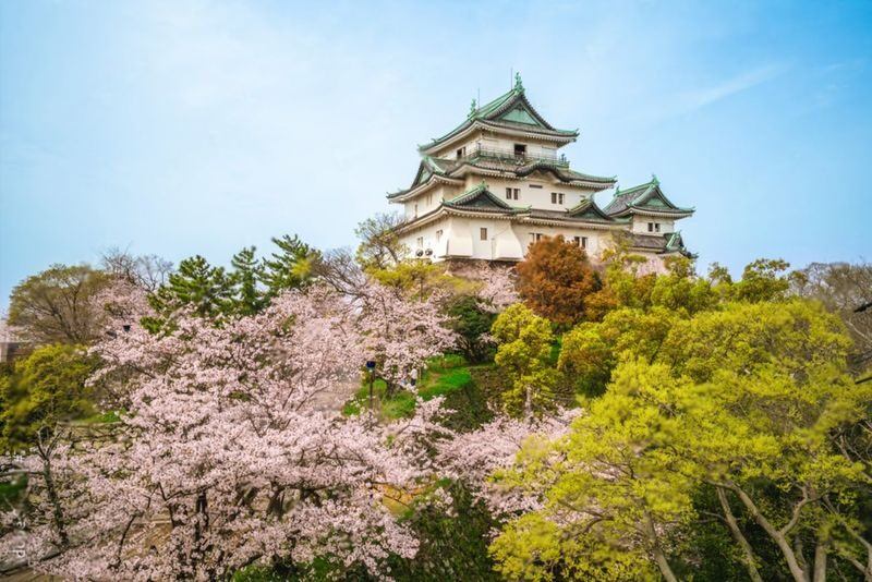 Mount Koya Wakayama & Nachi Waterfall Private Day Tour - Choose your day: Koyasan or Nachi Falls