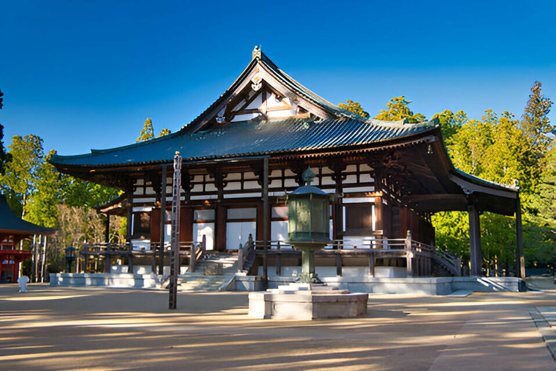 Mount Koya Wakayama & Nachi Waterfall Private Day Tour - Sandanbeki Cave or Kuroshio Fish Market