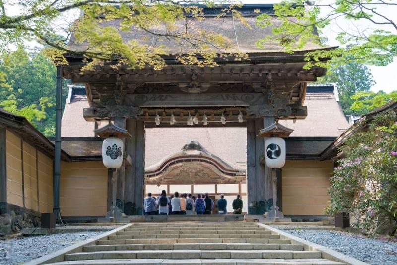 Mount Koya Wakayama & Nachi Waterfall Private Day Tour - What the driver can and cannot do