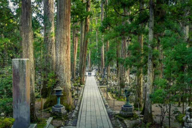 Mount Koya Wakayama & Nachi Waterfall Private Day Tour - Price and practical value