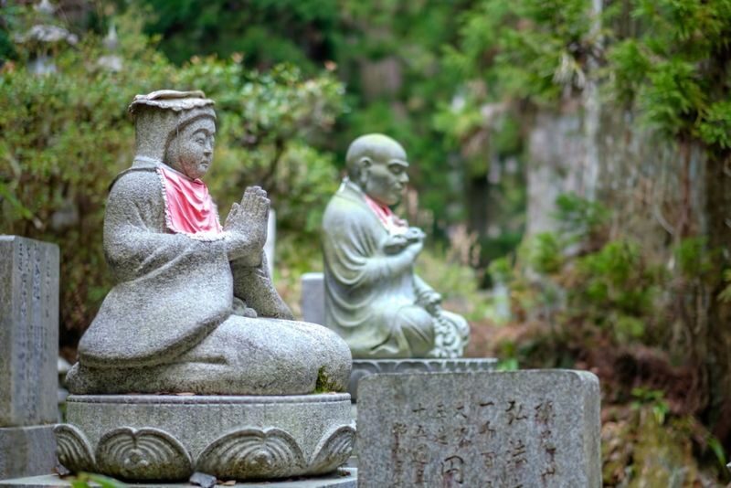 Mount Koya Wakayama & Nachi Waterfall Private Day Tour - Who should book this tour