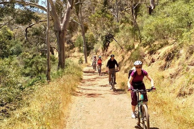 Mount Lofty Descent Bike Tour From Adelaide - Cancellation Policy