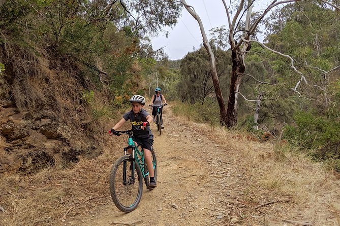 Mount Lofty Descent Bike Tour From Adelaide - Common Questions