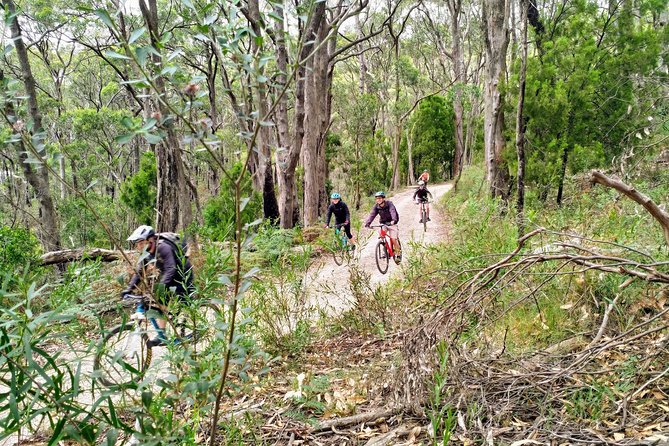 Mount Lofty Descent Bike Tour From Adelaide - The Sum Up