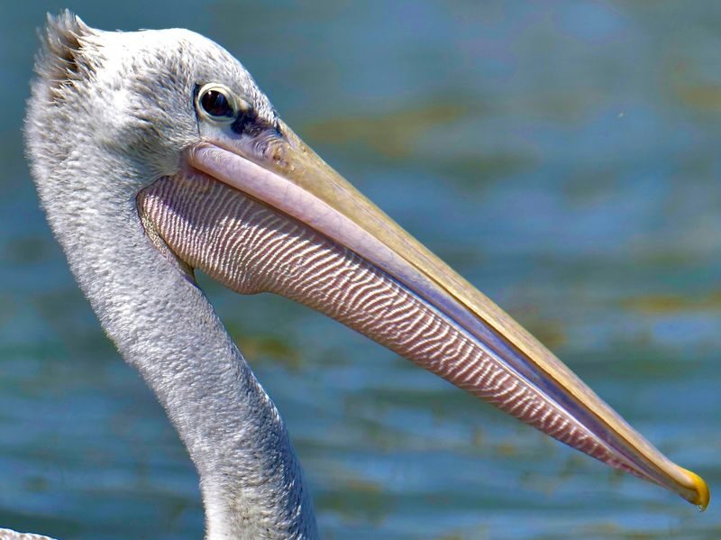 Mount Longonot & Lake Naivasha Full-Day Adventure - Booking flexibility and planning your day