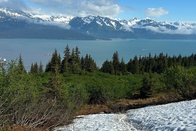 Mount Marathon Bowl Guided Hiking Tour - Who Should Consider This Tour?