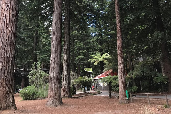 Mount Maunganui and Rotorua Tour From Tauranga With Concert - Mud Bubbling