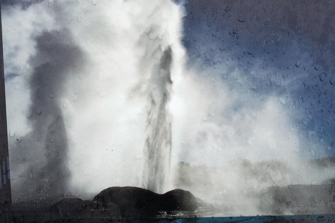 Mount Maunganui and Rotorua Tour From Tauranga With Concert - Kiwi Farm Visit