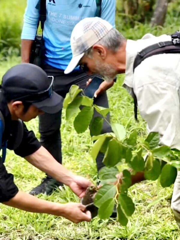 Mount Merapi Soft Trekking With Forest Conservation Tour - Good To Know