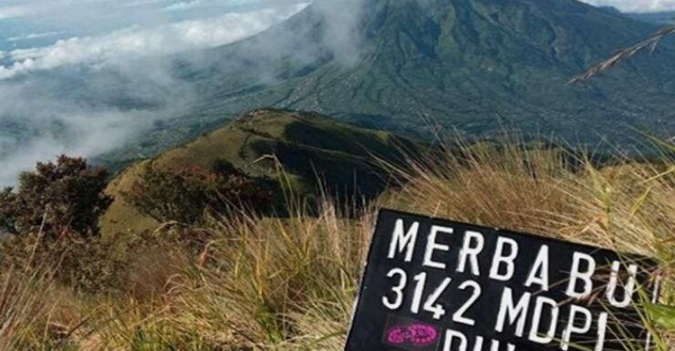 Mount Merbabu Day Hiking Tour - Activity Details