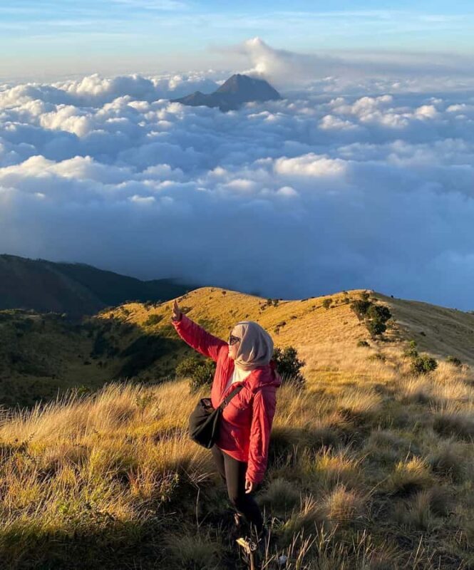 Mount Merbabu Edelweiss & Savanna Views tour from Yogyakarta - Good To Know
