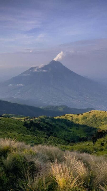 Mount Merbabu Edelweiss & Savanna Views tour from Yogyakarta - Descent and Return Journey
