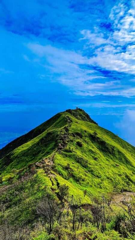 Mount Merbabu Edelweiss & Savanna Views tour from Yogyakarta - The Value of a One-Day Trek