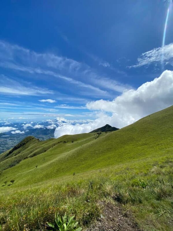 Mount Merbabu Edelweiss & Savanna Views tour from Yogyakarta - Who Should Consider This Tour?