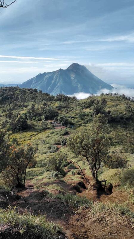 Mount Merbabu Edelweiss & Savanna Views tour from Yogyakarta - Why Choose This Tour?
