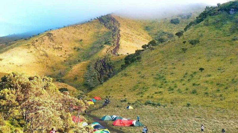 Mount Merbabu: Hiking and Camping Adventure - An Honest Look at the Mount Merbabu Hiking and Camping Tour