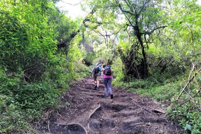Mount Merbabu Hiking Tour 2D1N With Camping - Reservation Details