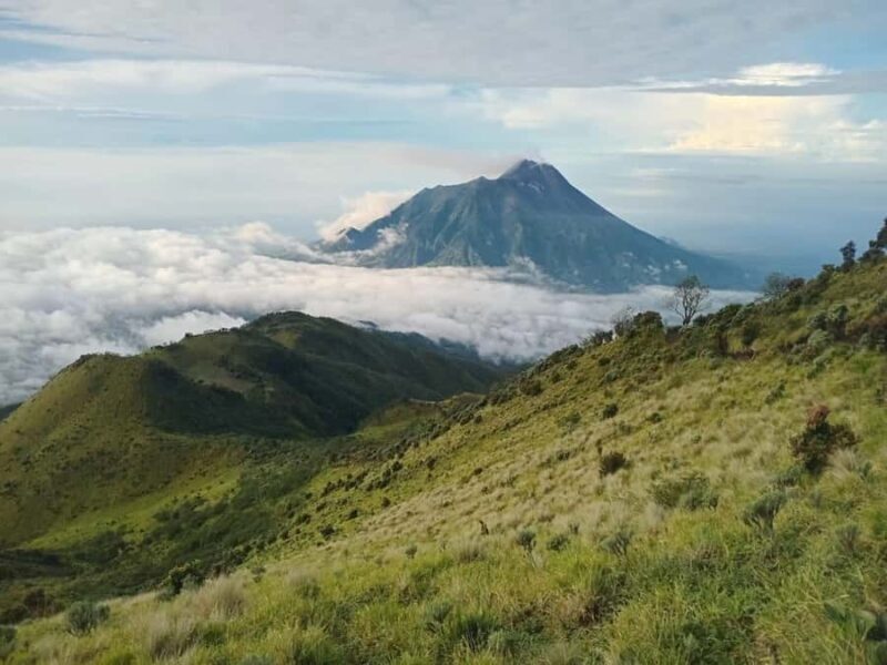 Mount Merbabu & Mount Lawu  Trekking & Camping Expedition - An In-Depth Look at the Mount Merbabu & Mount Lawu Trekking & Camping Experience