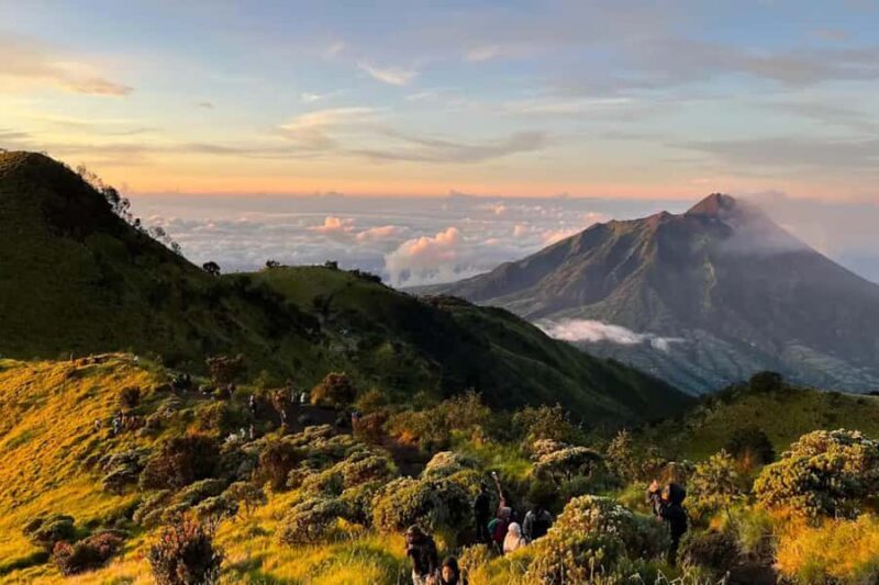 Mount Merbabu Sunrise with Transport, Ticket All Inclusive - An In-Depth Look at the Mount Merbabu Sunrise Tour