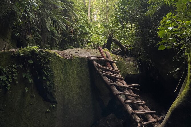 Mount Meru Private Waterfall Tour - Price, Availability & Booking