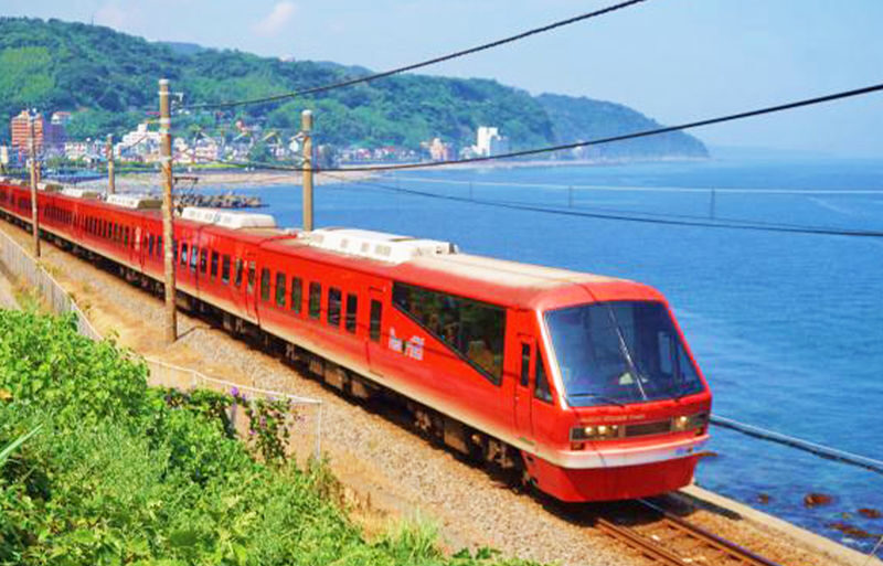 Mount Omuro/Cactus Park & Ocean View Train (with ticket) & Jogasaki Coast Day Trip (Departing from Tokyo) - The Izu Ocean View Train: 19 minutes of sea views