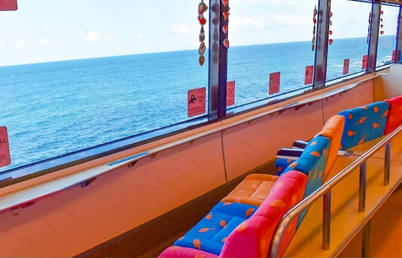 Mount Omuro/Cactus Park & Ocean View Train (with ticket) & Jogasaki Coast Day Trip (Departing from Tokyo) - Izu Cactus Park: succulents, capybaras, and extra cost