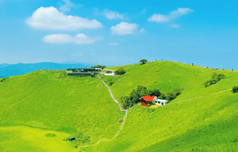 Mount Omuro/Cactus Park & Ocean View Train (with ticket) & Jogasaki Coast Day Trip (Departing from Tokyo) - The real cost, and what the price includes