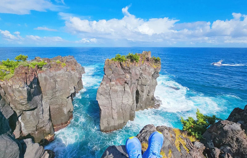 Mount Omuro/Cactus Park & Ocean View Train (with ticket) & Jogasaki Coast Day Trip (Departing from Tokyo) - Should you book?