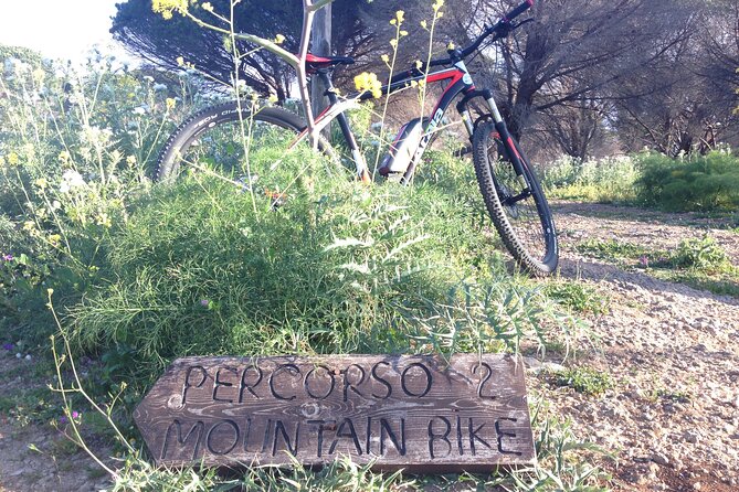 Mount Pellegrino MTB EXPERIENCE - Pricing and Group Size Information